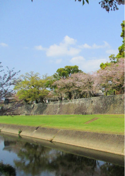 長塀通り