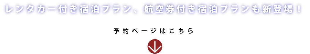 レンタカー付き宿泊プラン、航空券付き宿泊プランも新登場！専用宿泊ページよりご予約下さい。