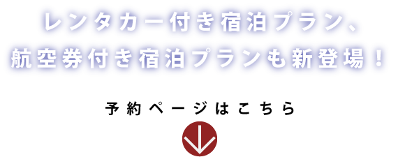 レンタカー付き宿泊プラン、航空券付き宿泊プランも新登場！専用宿泊ページよりご予約下さい。